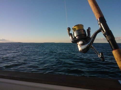 Rednes11's profile picture. 