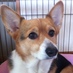 Koki (@jameskettler) Twitter profile photo Koki (@jameskettler) Twitter profile photo