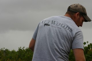 Attwoodswines's profile picture. Old sommeliers don't die they become wine makers.