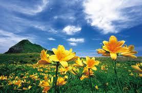 ect_alvecho's profile picture. 音楽好き！ピアノ好き！薔薇大好き！食べること好き！巻き髪好き！ダンス好き！抹茶好き！ワイン好き！洋服好き！映画好き！