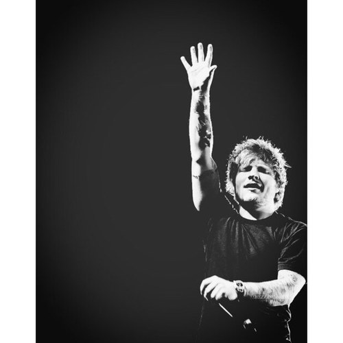 if you dont go up to random people shouting give me love im judging you ~ saw ed live on the 1/3/13 ♡♡