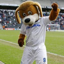 RoverSWA's profile picture. You can catch me at Prenton Park matchdays! #swa #woof #trfc