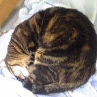 T山 (@mountaint22) 's Twitter Profile