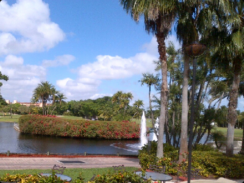 Lazer26's profile picture. 