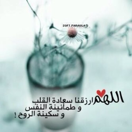 حساب رُوحٌ فيّ الذكر والتذكير لذكر تطيب له الروح وتأنس به {يأيتها النفس المطمئنة ارجعي الى ربك راضية مرضيه فأدخلي في عبادي وادخلي جنتي} لنصبح هذه النفس المطمئنه