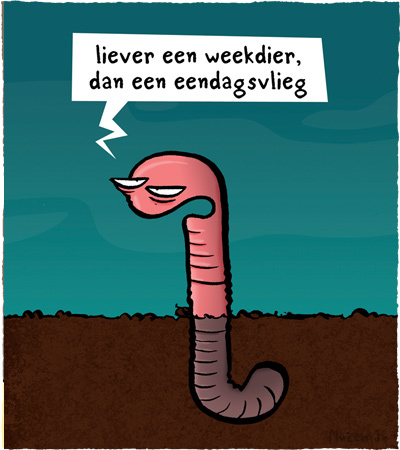 emiel_olh's profile picture. 