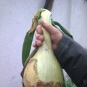 dave bowles - @thedogsblks - Twitter