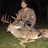 braddock715's profile image