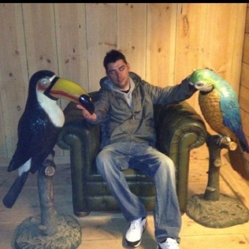 dolphinstabber's profile picture. I like doing stuff, but im too lazy to do stuff