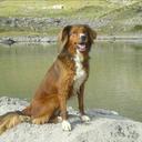 Doris Tanner - @doris_tanner - Twitter