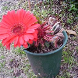 I like watching figureskating. And I have a concern for present situation of AD/HD, LD, PDD, moreover, comfort women. In addition, I like Timebokan series.