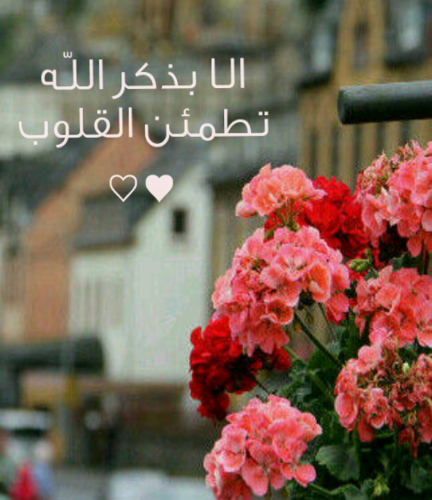 آلفائده لي ولكم أجِعل دقائق قليله من وقتك تعطر لسانك بذكر الله ، نسأل عنها أمام الخالق يوم الحساب ، غفر الله لي ولكم ♡