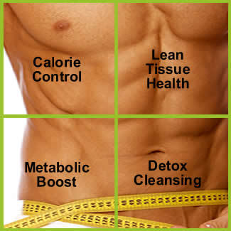 Core4MLM's profile picture. Brand New Weight Loss formula helping EveryBody earn money while losing weight. 239-728-1152. Email: info@core4everyone.com