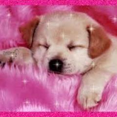 MariapMariana's profile picture. 