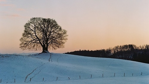BR_Spessart's profile picture. Zwischen Spessart & Karwendel - Die Sendung mit dem Baum. Immer Samstags um 18 Uhr im Bayerischen Fernsehen.