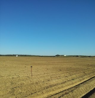 AmeliaAgrosol's profile picture. Ingeniero TEcnico AGricola