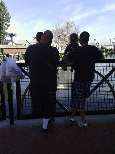 anitabarron21's profile picture. loveing my family