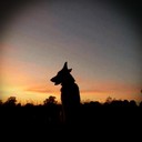 Ali Draper - @alioopsy1968 - Twitter