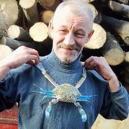 v_sklar's profile picture. 