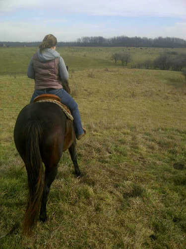 aflegel01's profile picture. 