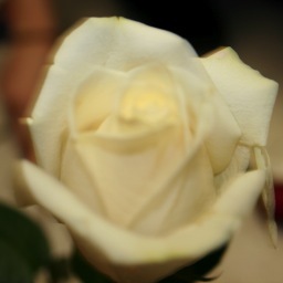 neil_neil12's profile picture. Am neil! thats all i am