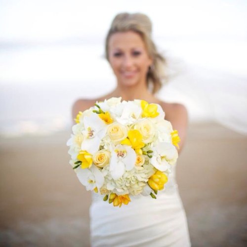 World traveling destination wedding photographer.