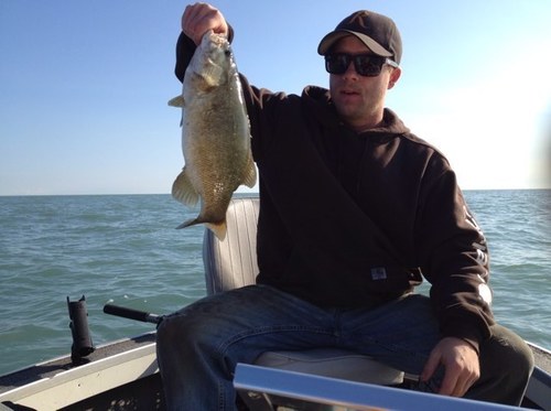 mikecarr85's profile picture. 