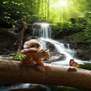 Jackie Schilling - @jlschil5682 - Twitter