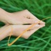 Jenn Joy Reiki (@jennjoyreiki) Twitter profile photo