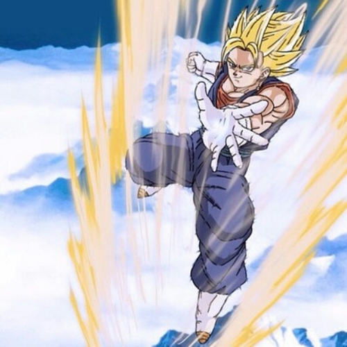 Vegito. The mighty fusion of Vegeta And Goku. Enemy to evil, Protector of your TL. (RP/Parody)