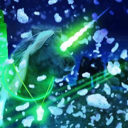 traceyb333's profile picture. 