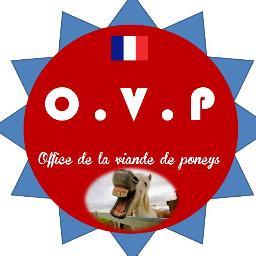 PassionPoneys's profile picture. 