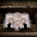 YRMA RODRIGUEZ - @yrma2412 - Twitter