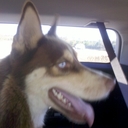 Jonathan Riggs - @JonathanRiggs1 - Twitter