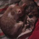 Lyric Blackrose - @LyricBlackRose - Twitter