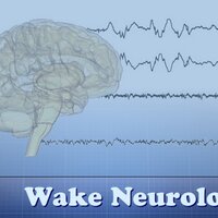 Wake Neurology (@wakeneurology) 's Twitter Profile