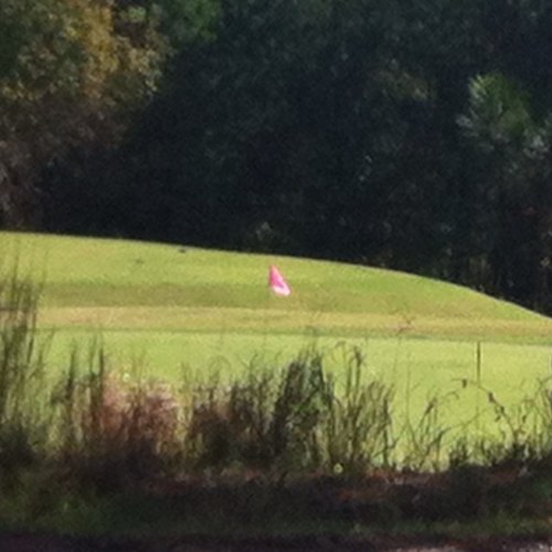 MallardPointeGC's profile picture. Mallard Pointe is a great place to enjoy a round of golf or a stay in the lakeside villas located on a Sardis Lake peninsula behind the 18th green. #GreatTrack