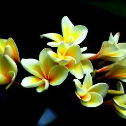 AprilLast1's profile picture. 