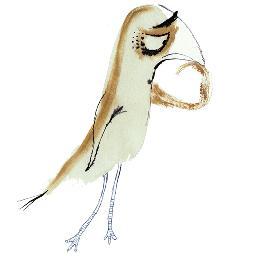 zebedee helmさんのプロフィール画像