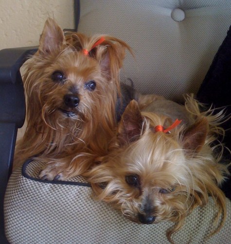 DJordaan_1's profile picture. 