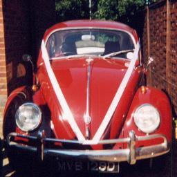 beetlechic's profile picture. 