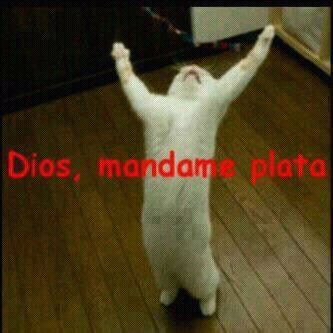 teamothaliaa's profile picture. Soy sociable,carismatico y kon buen sentido del humor.Me gusta la Musica y soy HiperFanatico de la Diosa Mexicana @Thalia