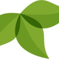 RonaldvanHaren's profile picture. 