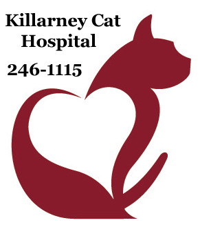 The Killarney Cat Hospital welcomes your comments or questions.