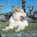 JOSE MANUEL SACO  - @JMSACO - Twitter