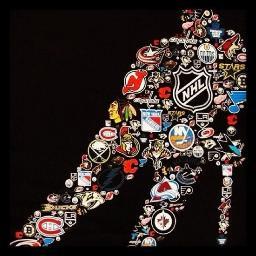 Living the life of a hockey player. Quoting hockey players, coaches, etc... #HockeyQuotes Yes i am a girl.