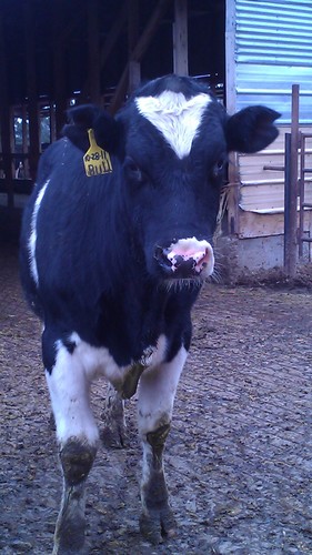 motzorong0 Profile Picture