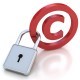 DMCA Solutions provides managed online anti-piracy strategies and solutions for protecting and enforcing copyrighted content.