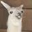 Ola_K_aseH's profile image