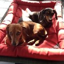 Bonnie Chambers - @BonnieChambers9 - Twitter